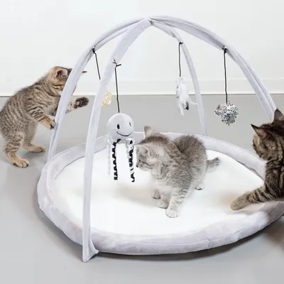 Tapis d’éveil rond gris clair avec arches et jouets suspendus, trois chatons jouent autour et dessus. Jouets visibles : peluche pieuvre, boule, plume, pompon argenté.