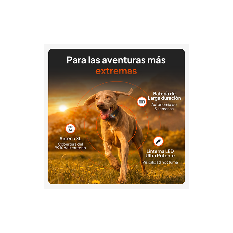 Weenect Pet GPS Tracker XT para perros - con collar