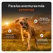 Weenect Pet GPS Tracker XT para perros - con collar