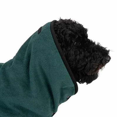 Black dog wearing green towel with black border, suitable for drying or grooming.