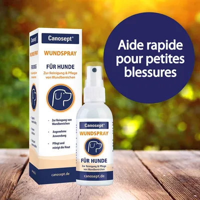 Canosept Wundspray für Hunde, spray et boîte visibles. Texte : Zur Reinigung & Pflege von Wundbereichen. Aide rapide pour petites blessures. canosept.de
