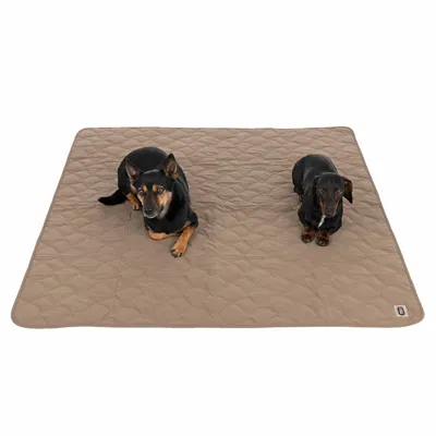Brown, quilted dog blanket with two dogs on it. Rectangular shape and logo visible in the corner.