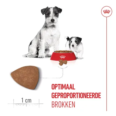 Royal Canin Mini Starter Mother & Babydog Hondenvoer