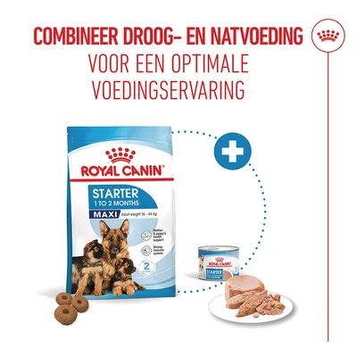 Royal Canin Maxi Starter Mother & Babydog Hondenvoer Royal Canin Maxi Starter Mother & Babydog Hondenvoer