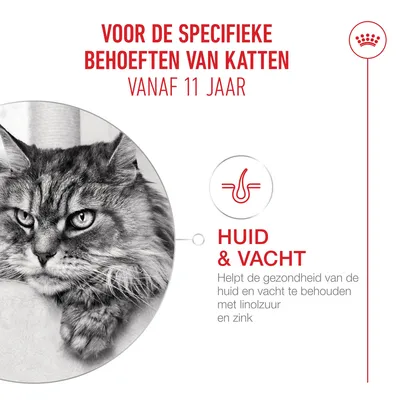 Voor de specifieke behoeften van katten vanaf 11 jaar. Huid & vacht: Ondersteunt de gezondheid van huid en vacht met linolzuur en zink. Voor de specifieke behoeften van katten vanaf 11 jaar. Huid & vacht: Ondersteunt de gezondheid van huid en vacht met linolzuur en zink.