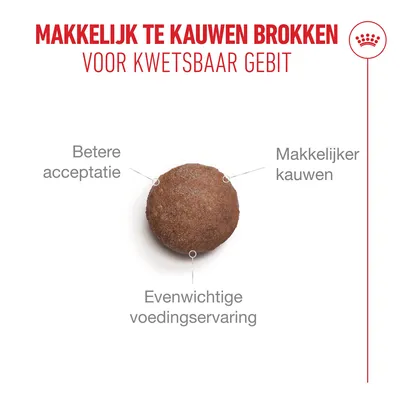 Kroket met opschriften: Betere acceptatie, gemakkelijker te kauwen, evenwichtige voedingsbeleving. Bovenstaande tekst: Gemakkelijk te kauwen kroketten voor een gevoelig gebit. Kroket met opschriften: Betere acceptatie, gemakkelijker te kauwen, evenwichtige voedingsbeleving. Bovenstaande tekst: Gemakkelijk te kauwen kroketten voor een gevoelig gebit.