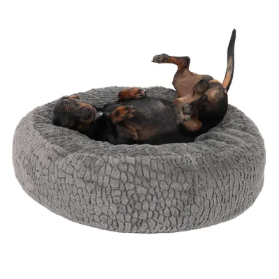 Panier rond gris en tissu avec un chien allongé à l’intérieur, montrant la taille et le confort du couchage pour animaux.