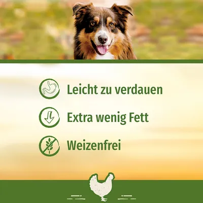 SmartBones hundebein kylling til store hunder