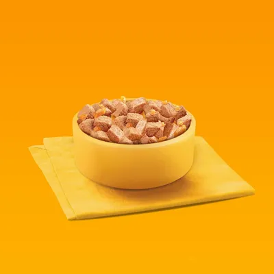 Bowl filled with chunky pieces of pet food on a folded yellow napkin, displayed against a plain orange background.
