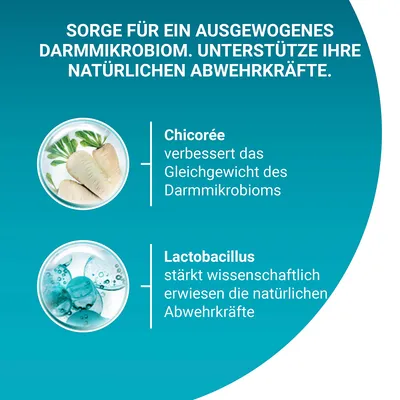Sorge für ein ausgewogenes Darmmikrobiom. Chicorée verbessert das Gleichgewicht des Darmmikrobioms. Lactobacillus stärkt wissenschaftlich erwiesen die natürlichen Abwehrkräfte.