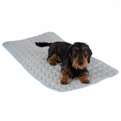 Pies leży na szarej, pikowanej macie z falistym wzorem. Produkt pokazuje użycie maty jako powierzchni do leżenia.