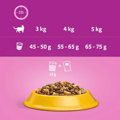 Feeding guide showing daily dry food amounts: 3kg cat 45–50g, 4kg cat 55–65g, 5kg cat 65–75g. 15g dry food equals one wet food pouch.