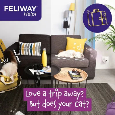 Feliway Help! promotional image showing a cat in a travel bag and another cat relaxing on a sofa, with the text: Love a trip away? But does your cat?