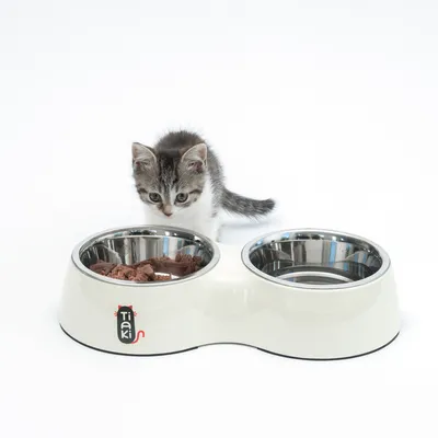 Tiaki double bowl made of stainless steel with white holder, filled with cat food. Small cat looking at the bowl.