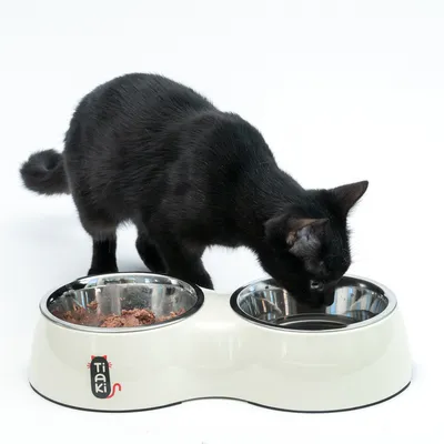 Black cat eating from a white Tiaki feeding bowl with two stainless steel dishes, one filled with wet food, the other empty.