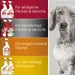 IAMS Advanced Nutrition Kitten 10 kg + Nature's Miracle 709 ml grátis!