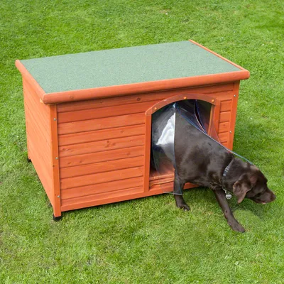 Animal exiting a wooden outdoor kennel with a plastic flap door, demonstrating the use of the kennel entrance.