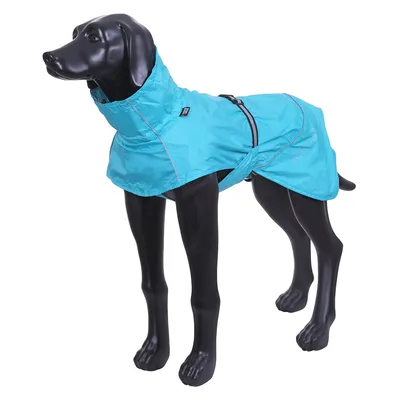 Svart hundmodell bär en blå hundjacka med krage och justerbart bälte. Synlig logotyp på sidan av jackan.