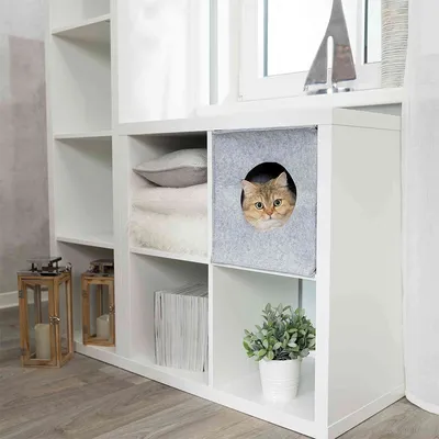 Cuccia per gatti in feltro integrata in uno scaffale, con ingresso rotondo. Gatto che guarda fuori. Ambiente: scaffale bianco, lanterne decorative, pianta e finestra sullo sfondo.
