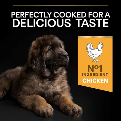 Text reads: Perfectly cooked for a delicious taste. No.1 ingredient chicken, with an image of a chicken and a puppy shown beside the text.