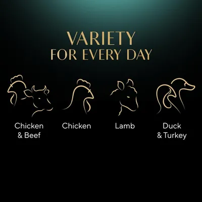 Variety for every day: Chicken and Beef, Chicken, Lamb, Duck and Turkey are shown as available flavours.