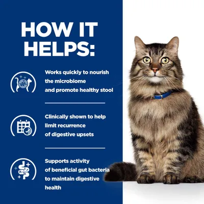 Hill's Prescription Diet Feline Gastrointestinal Biome - Chicken - 12 x 85g Hill's Prescription Diet Feline Gastrointestinal Biome - Chicken - 12 x 85g