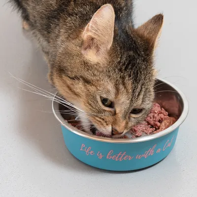 TIAKI zdjelica od nehrđajućeg čelika "Better With A Cat"