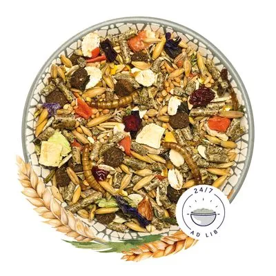 Schaal met gemengd knaagdierenvoer, zichtbaar: gedroogde meelwormen, granen, groenten, pellets en stukjes fruit. Pictogram met tekst '24/7 ad lib' naast de schaal.