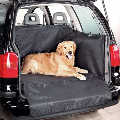 Hund i bilens bagageutrymme på svart skyddsmatta av tyg, täcker golv och sidor. Skyddet är anpassat för att skydda bilen vid transport av husdjur.