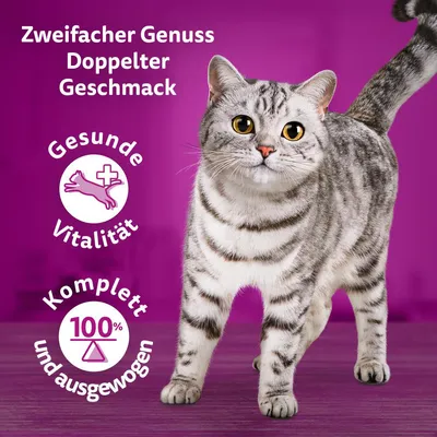 Zweifacher Genuss, doppelter Geschmack. Gesunde Vitalität und komplett ausgewogen mit 100% Nährstoffen. Bild einer grauen Katze vor violettem Hintergrund.