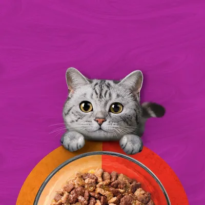 Whiskas Duo in buste Pacco misto 48 x 85 g Alimento umido per gatto