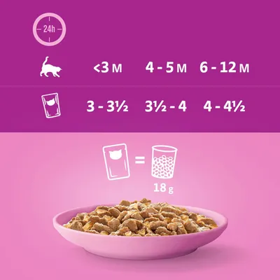 Feeding recommendation for cats: <3 months 3-3½ pouches, 4-5 months 3½-4 pouches, 6-12 months 4-4½ pouches. 1 pouch equals 18g dry food.
