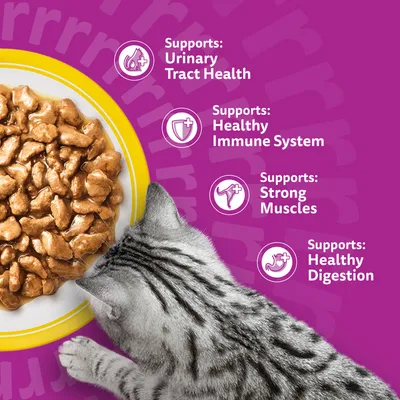 Whiskas 7+ Senior Pouches in Gravy - Poultry Selection in Gravy (48 x 85g)