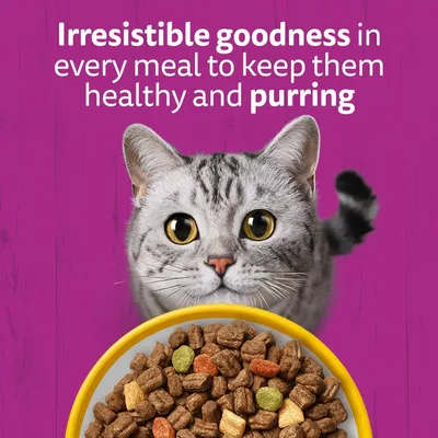Text: Irresistible goodness in every meal to keep them healthy and purring. Shown are a grey cat and a bowl with dry food.