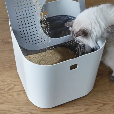 Котешка тоалетна с отворен капак, постелката се пресява през отвори. Котка оглежда тоалетната.
