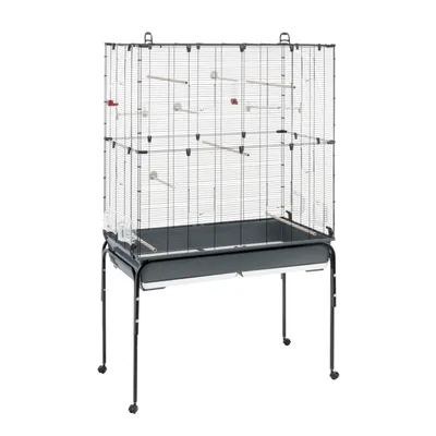 Large metal bird cage on wheels with multiple perches, feeding bowls and a pull-out tray at the base for cleaning.