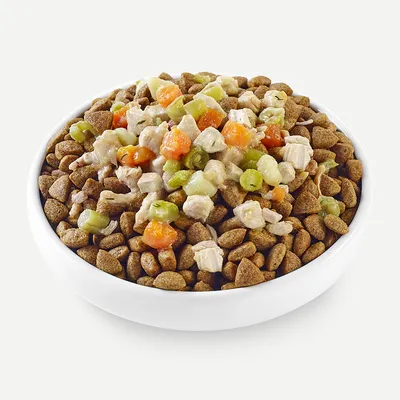 Bowl filled with dry pet food kibble topped with diced vegetables and meat pieces, showing serving suggestion for mixed pet food.