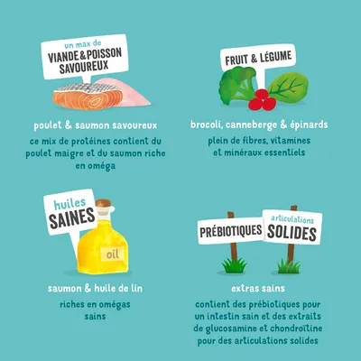Description du produit : poulet et saumon avec acides gras oméga, brocoli, canneberge et épinard riches en vitamines, huiles saines de saumon et de lin, prébiotiques pour digestion et articulations.