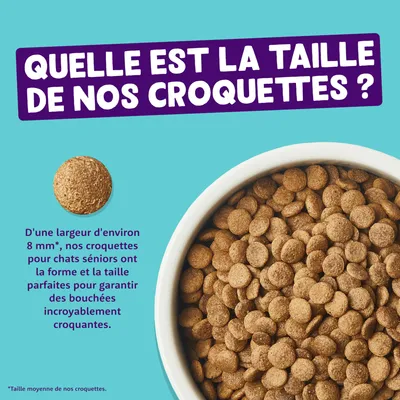 Quelle est la taille de nos croquettes ? D'une largeur d'environ 8 mm, nos croquettes pour chats séniors ont la forme et la taille parfaites pour garantir des bouchées croquantes.