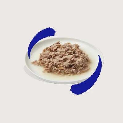 Gros plan de viande hachée dans un bouillon sur une assiette blanche, décorée de coups de pinceau bleus.