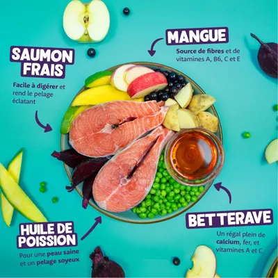 Assiette avec saumon frais, huile de poisson, mangue, betterave, pommes, myrtilles, petits pois et pommes de terre. Textes visibles : saumon frais, huile de poisson, mangue, betterave.