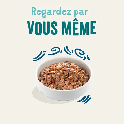 Regardez par VOUS MÊME. Bol blanc rempli de pâtée pour animaux, morceaux visibles de viande et légumes.