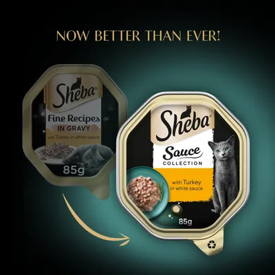 Comparison of old and new Sheba packaging for turkey in white sauce, showing updated design with 'Now better than ever!' text and 85g weight.