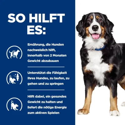 So hilft es: Ernährung hilft Hunden, in 2 Monaten Gewicht abzubauen. Unterstützt Laufen, Gehen und Springen. Hilft gesundes Gewicht zu halten und Energie für aktives Spielen zu liefern.