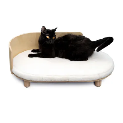 Schwarze Katze liegt auf einem weissen, gepolsterten Katzenbett mit Holzrahmen und erhöhten Beinen.