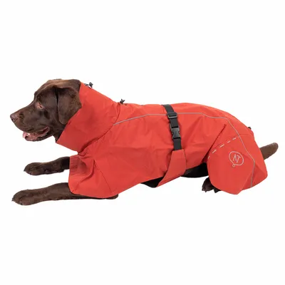 Hond in rode regenjas met capuchon, reflecterende strepen en verstelbare buikriem. Logo 'NT' zichtbaar aan de zijkant.