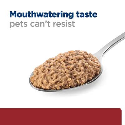 Spoonful of pet food with the text 'Mouthwatering taste pets can’t resist' shown above.