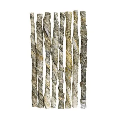 Braaaf Zalm Kauwrollen