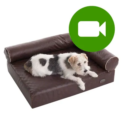 Ortopedyczna sofa dla psa Wellness Divan