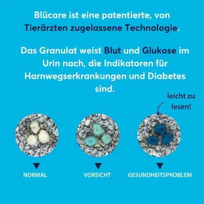 Blücare Granulat erkennt Blut und Glukose im Urin, Indikatoren für Harnwegserkrankungen und Diabetes. Farbskala: Normal (weiss), Vorsicht (grünlich), Gesundheitsproblem (blau).